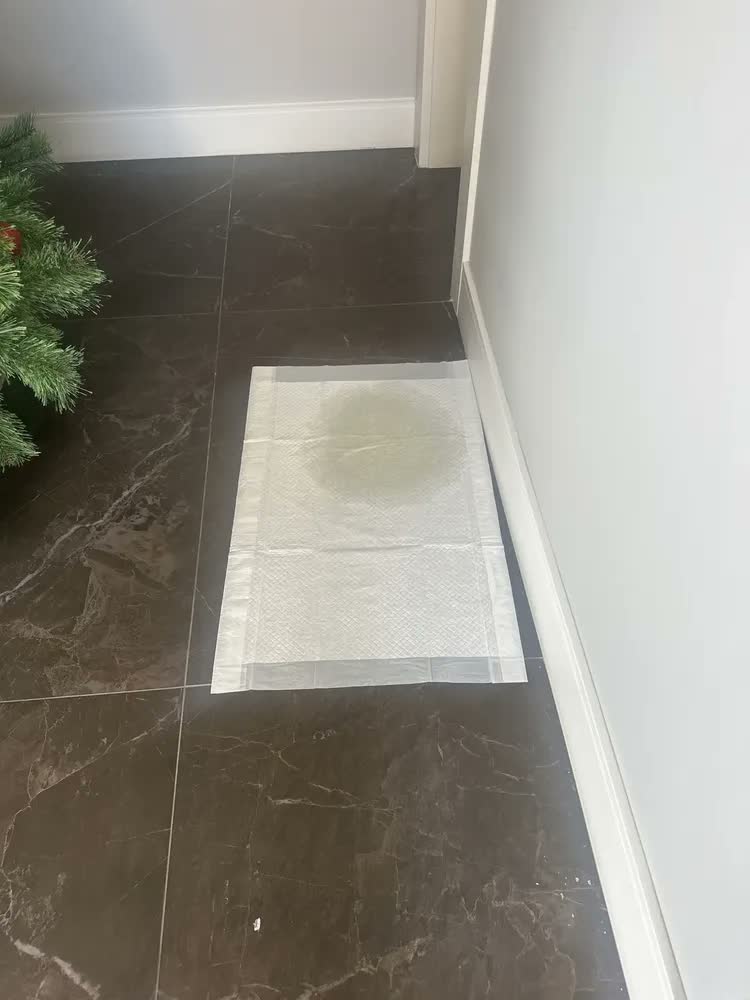 foto de Tapete Higienico Uai Pet 80x60 Aroma Bebe 30 Unidades Tapetinho Cães Cachorros