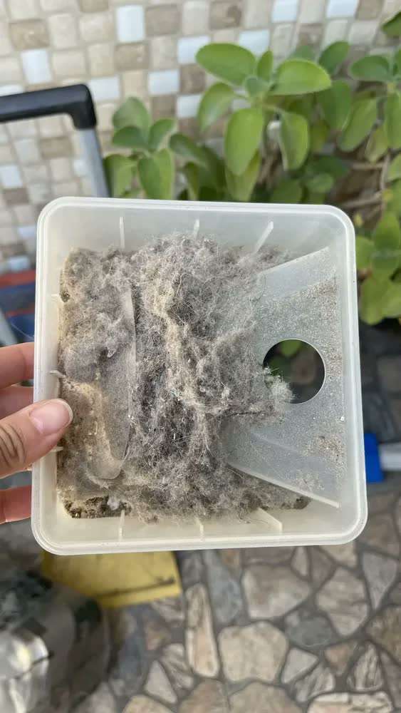 foto de Aspirador de pó robô philco 3 em 1 pas23 Com Mop Preto