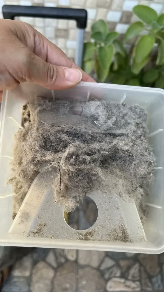 foto de Aspirador de pó robô philco 3 em 1 pas23 Com Mop Preto