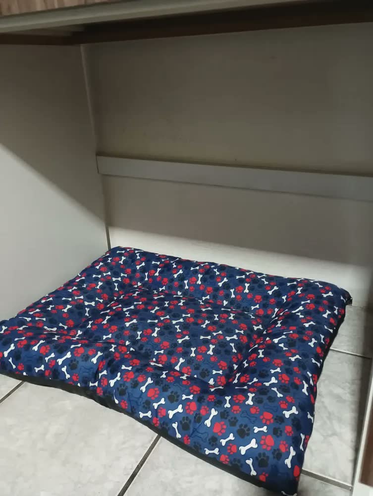 foto de Cama Pet Colchonete Grande Para Cães E Gatos Poliéster
