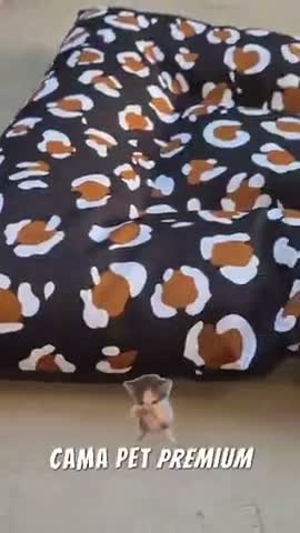 vídeo do produto