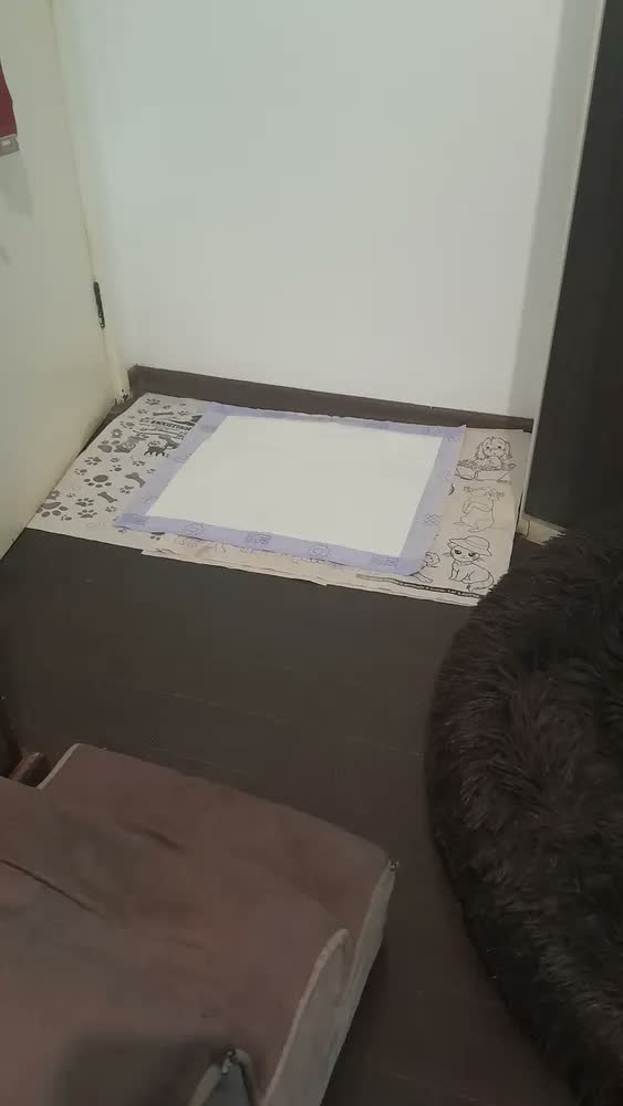 foto de Tapete Higienico para Cães Ultra Pads Lavanda 60x60 30 Un Petlike