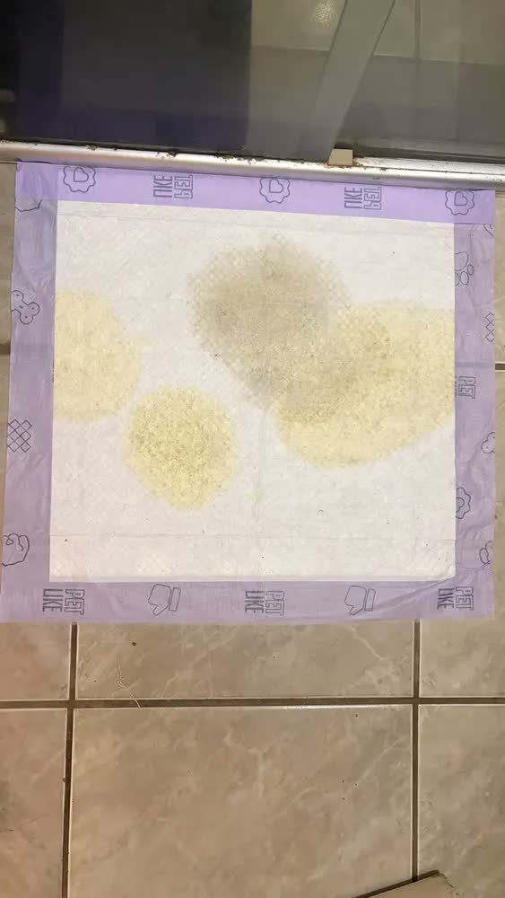foto de Tapete Higienico para Cães Ultra Pads Lavanda 60x60 30 Un Petlike