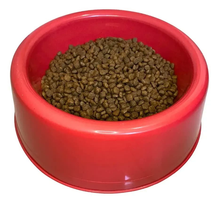 Como Escolher o Comedouro Ideal para Seu Pet