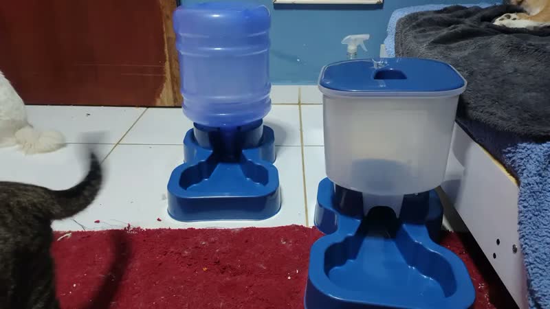 foto de Kit Bebedouro Comedouro Automático Pet Grande Azul 10L Antiengasgo 4kg Ração