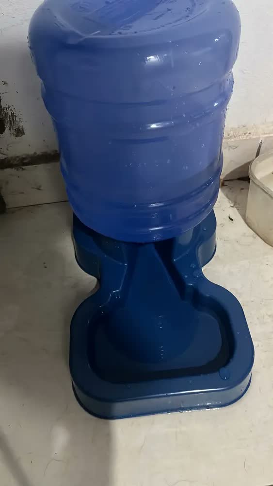 foto de Kit Bebedouro Comedouro Automático Pet Grande Azul 10L Antiengasgo 4kg Ração