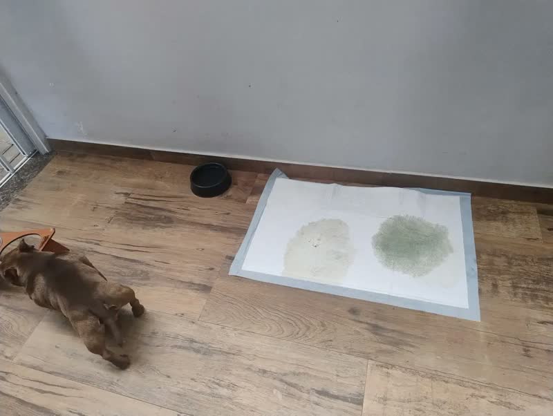 foto de Tapete Higiênico 60x90cm 50 Unidades Premium Comfort Higienepet
