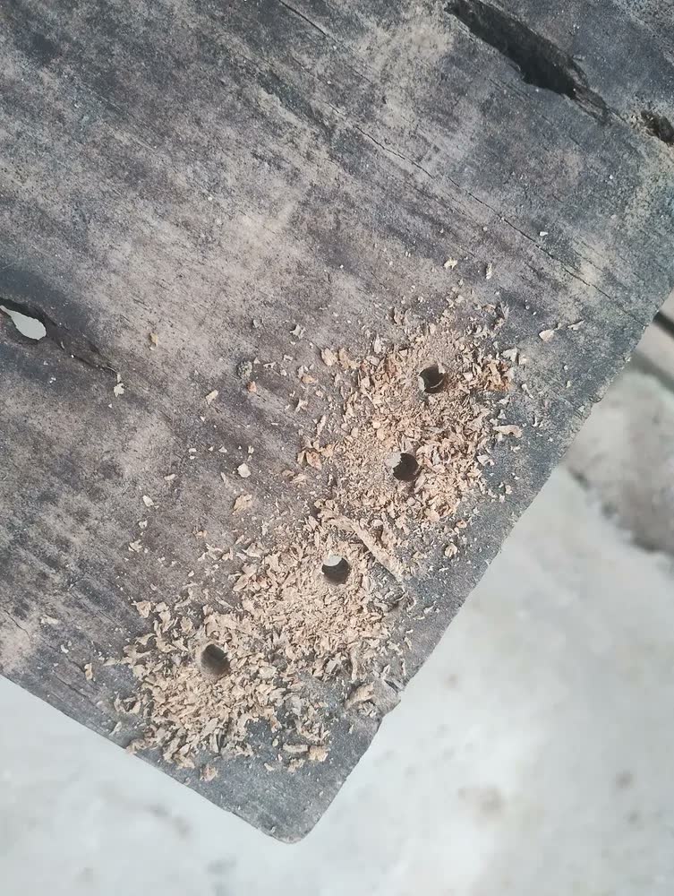 foto de Parafusadeira e Furadeira de Impacto Wap Wf 12k4.2 com Indicador de Nível de Bateria e Maleta