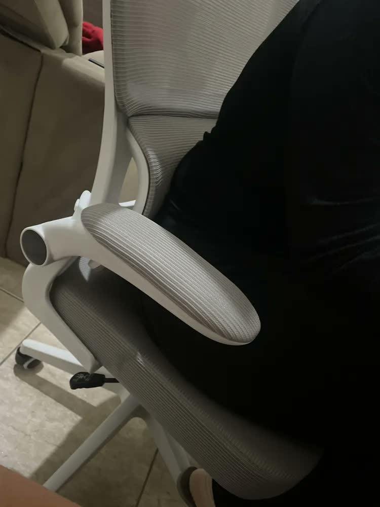 foto de Cadeira Escritório Ergonômica Genebra G500 Luvinco Cor Cinza Com Suporte Lombar Estofado Mesh