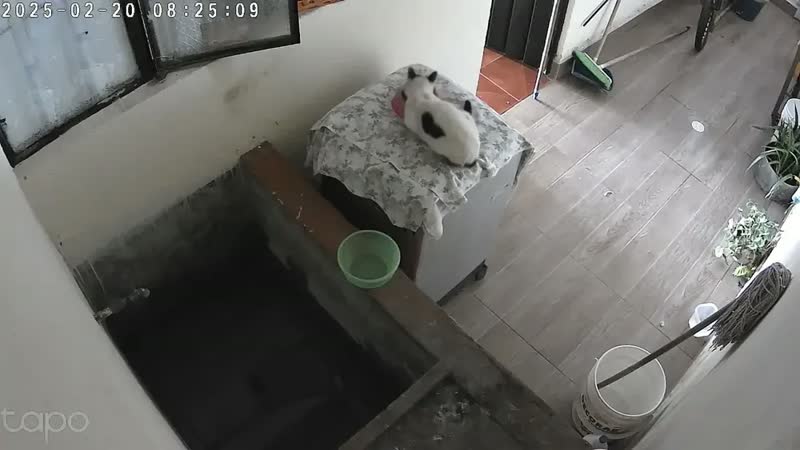 foto de Câmera Wi-Fi Full HD 1080p TP-Link Tapo TC70(BR) Pan/Tilt Visão Noturna Áudio Bidirecional