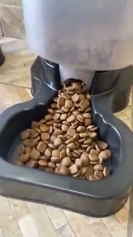 vídeo do produto