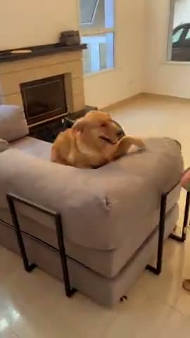 vídeo do produto