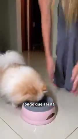 vídeo do produto