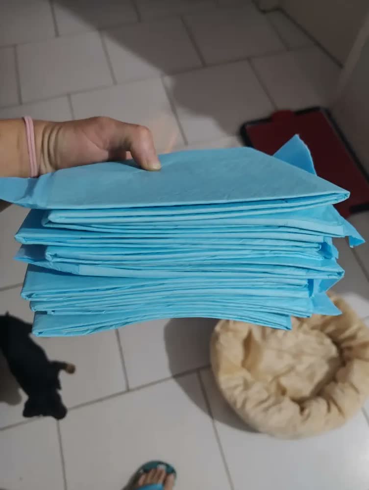 foto de Tapete Higiênico Sanitário Canino Xixi Banheiro Pet Cachorro