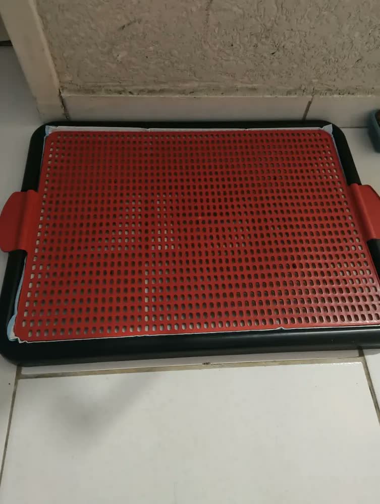 foto de Tapete Higiênico Sanitário Canino Xixi Banheiro Pet Cachorro