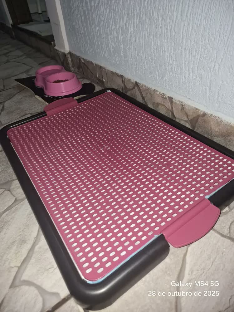 foto de Tapete Higiênico Sanitário Canino Xixi Banheiro Pet Cachorro