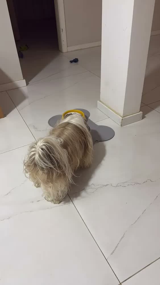 foto de Jogo Americano Antiderrapante PETYC de Silicone Para Comedouro e Bebedouro Cinza