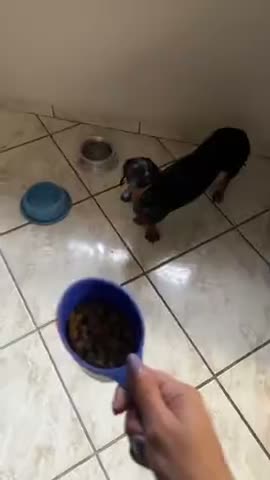 vídeo do produto