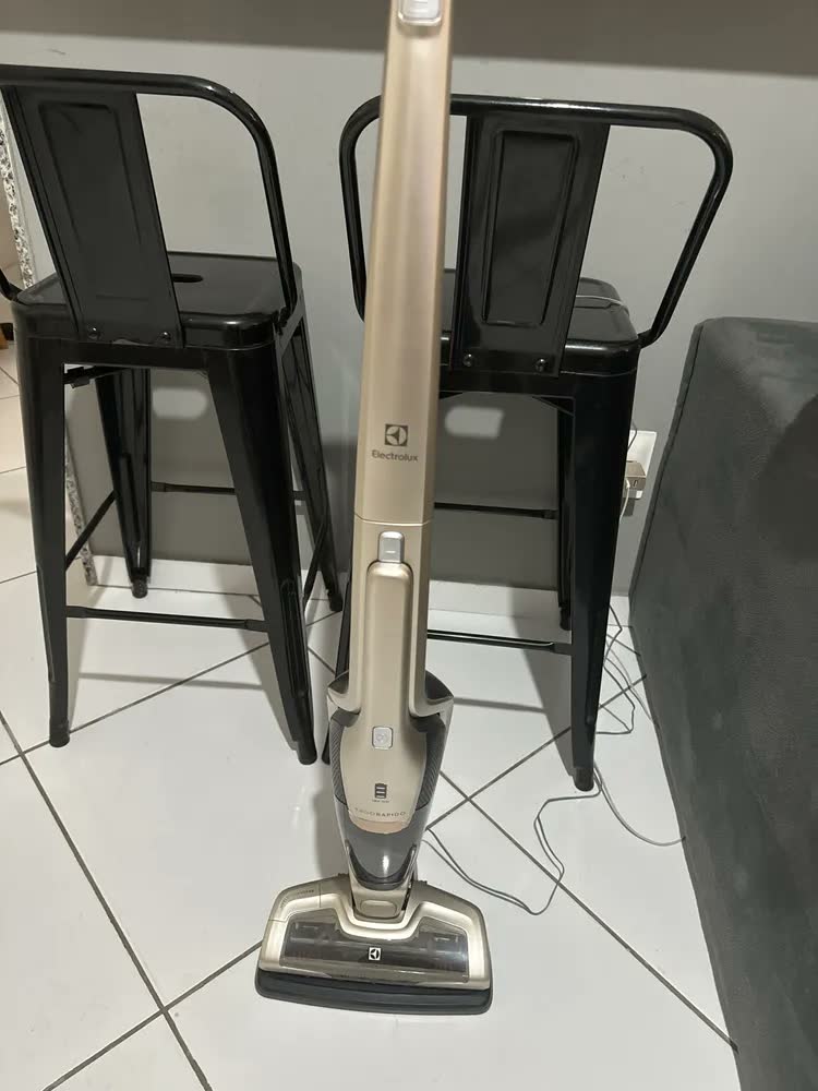 foto de Aspirador De Pó Electrolux Ergorapido Erg26 Dourado