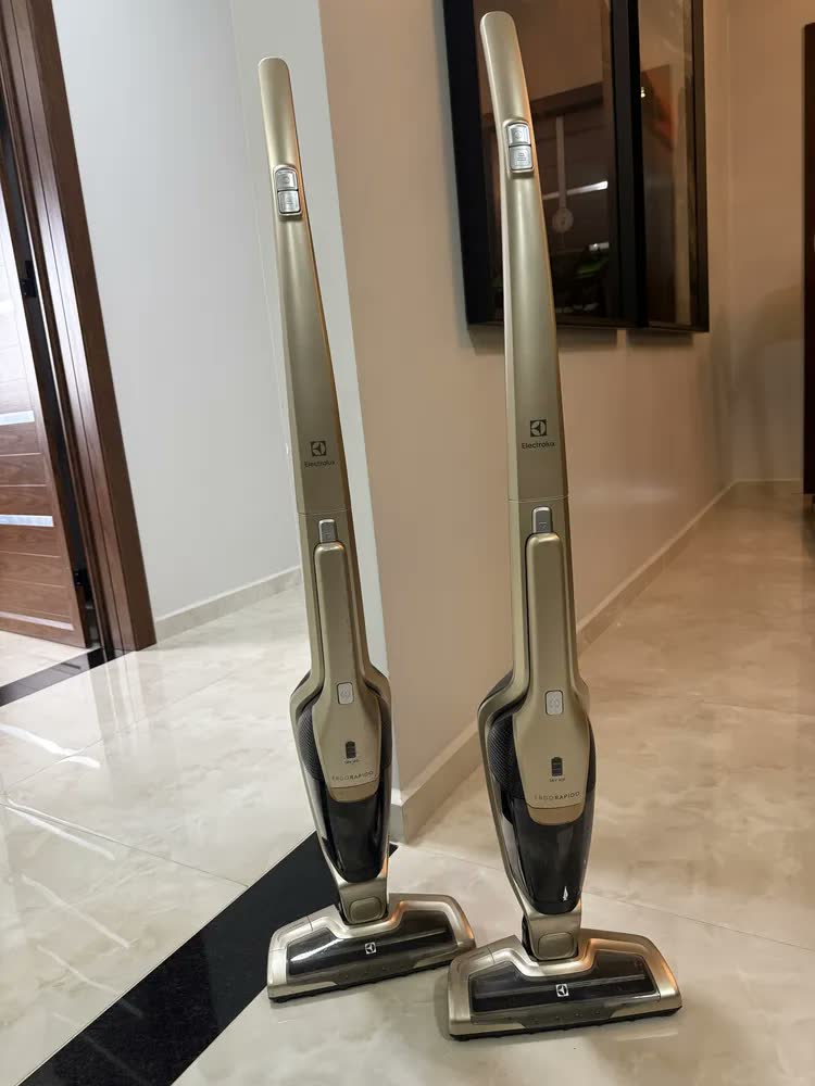 foto de Aspirador De Pó Electrolux Ergorapido Erg26 Dourado
