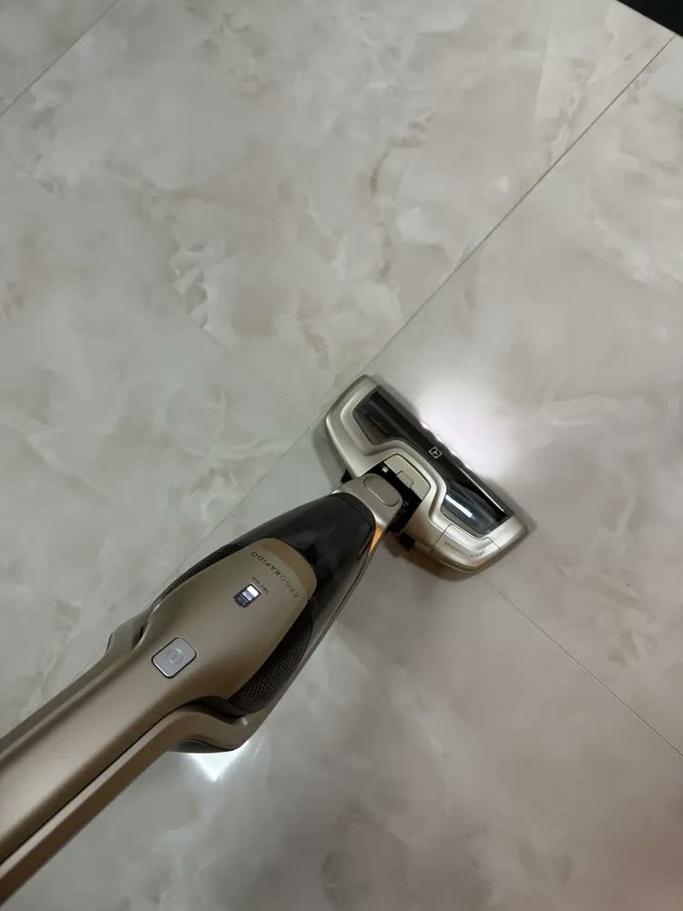 foto de Aspirador De Pó Electrolux Ergorapido Erg26 Dourado