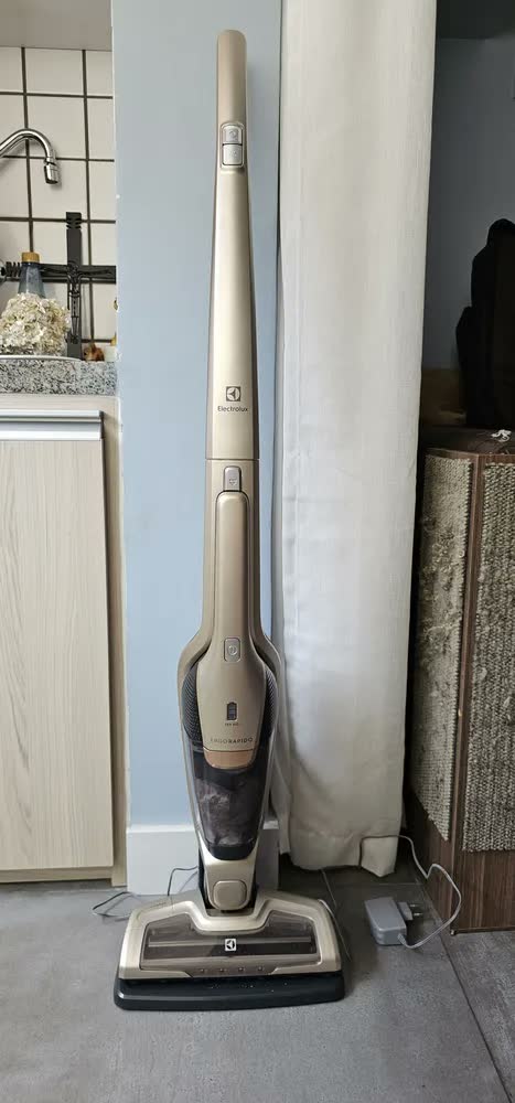 foto de Aspirador De Pó Electrolux Ergorapido Erg26 Dourado