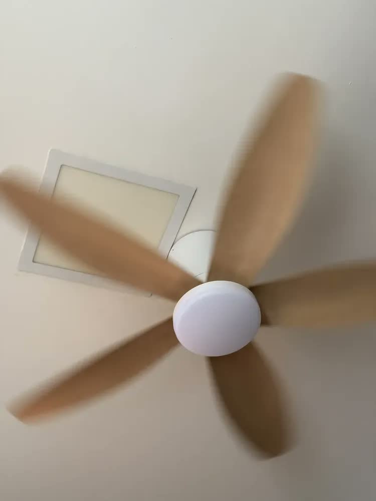 foto de Lynkalat Ventilador Teto Led Bivolt Silencioso Remoto