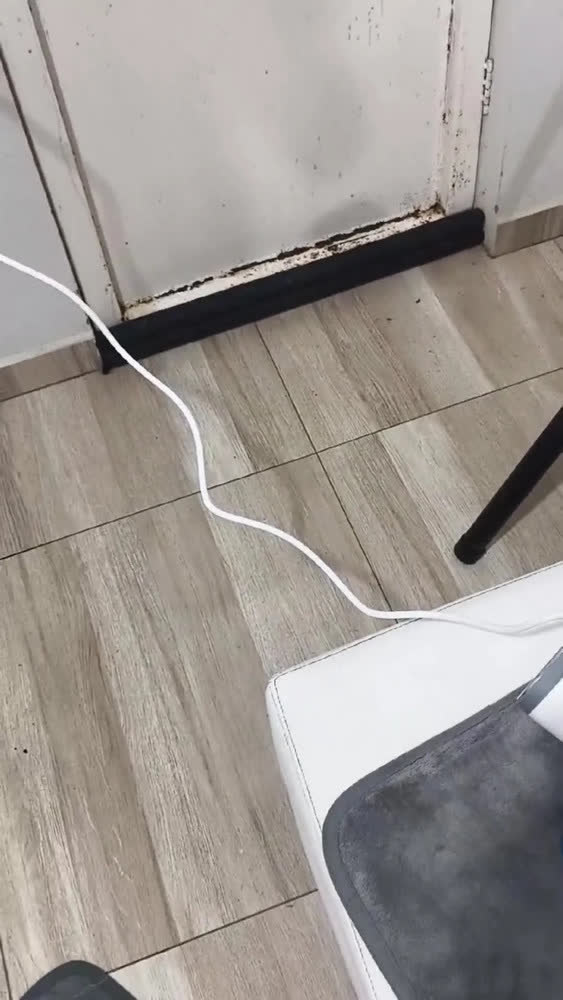 foto de Vaporizador De Roupas Portátil Passadeira Vapor Quente Ferro