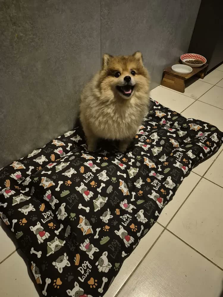 foto de Cama Pet Impermeável Colchonete Grande 76x116 Cm Colchao Gg