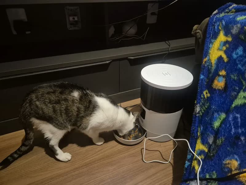 foto de Comedouro Automático 4L Newpet Para Cães E Gatos Com Voz E App