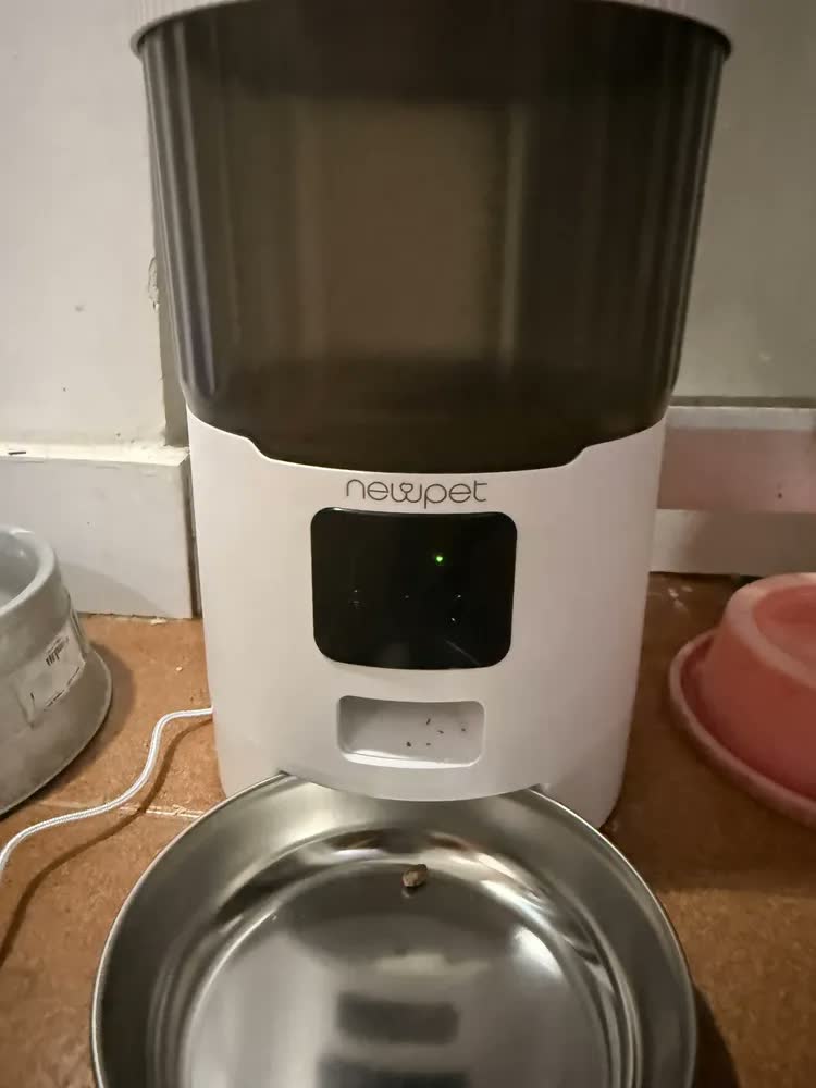 foto de Comedouro Automático 4L Newpet Para Cães E Gatos Com Voz E App