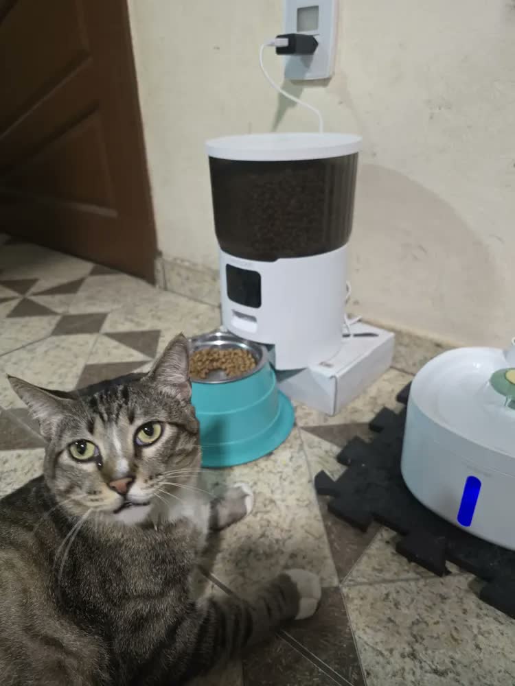 foto de Comedouro Automático 4L Newpet Para Cães E Gatos Com Voz E App