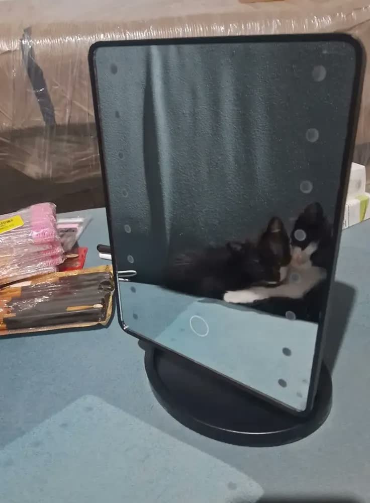 foto de Espelho De Mesa Com Luz Led Regulável P/ Maquiagem Portátil