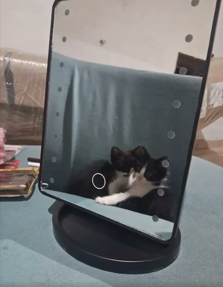 foto de Espelho De Mesa Com Luz Led Regulável P/ Maquiagem Portátil