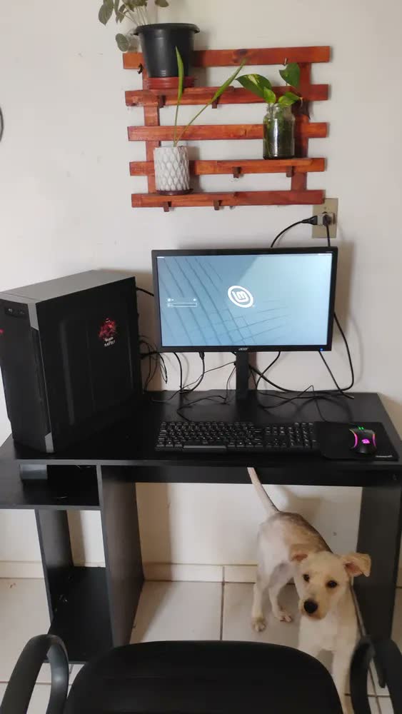 foto de Suporte Monitor Mesa ERGOFIT Preto Ajustável 14 a 32 Polegadas Inclinável Giratório