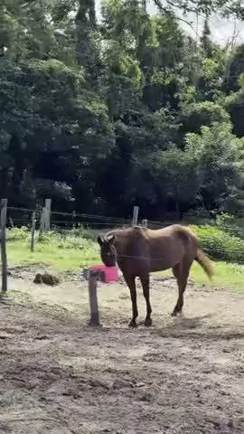 vídeo do produto