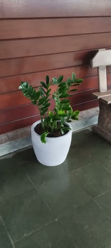 foto de Vaso Grande Cone Decorativo Polietileno Planta Jardim Varand