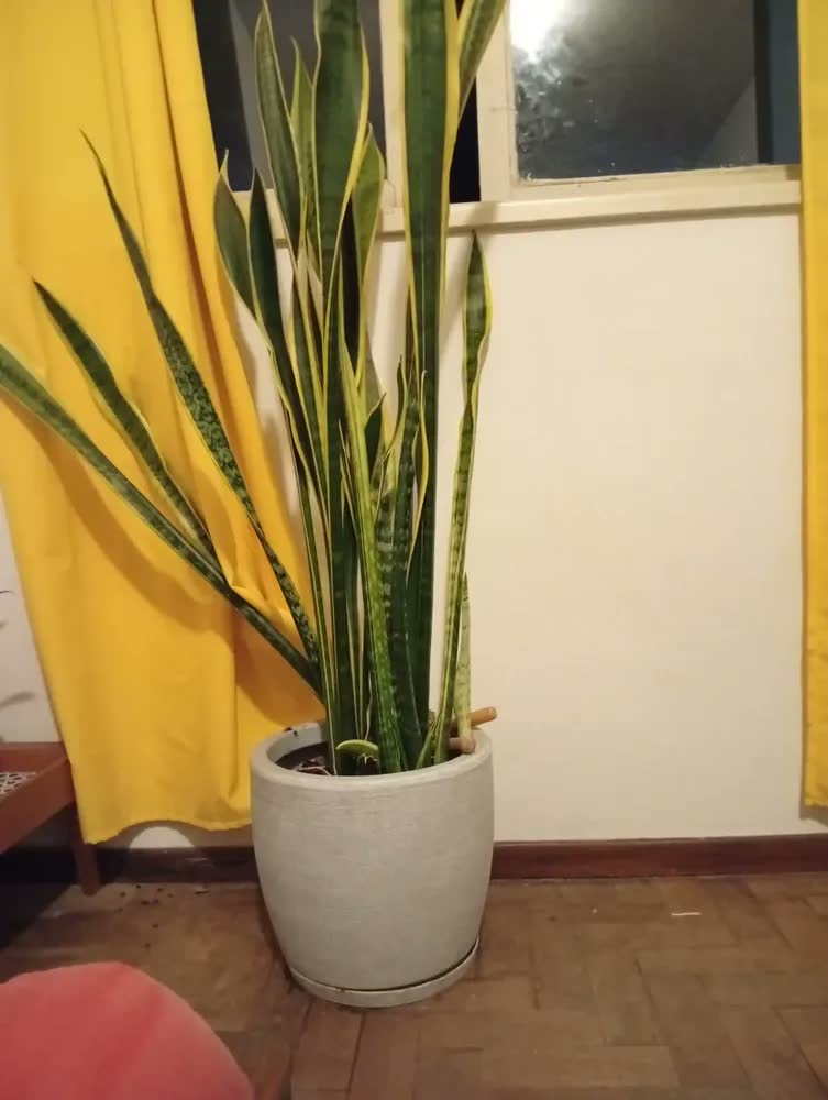 foto de Vaso Grande Cone Decorativo Polietileno Planta Jardim Varand