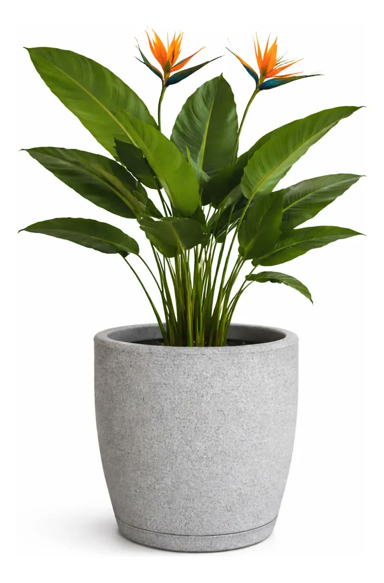 Vaso Grande Cone Decorativo Polietileno Planta Jardim Varand