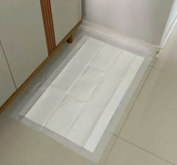 foto de Tapete Higiênico Premium Para Cães 30 Unidades Ultra Absorção 80x60 - Caramelo