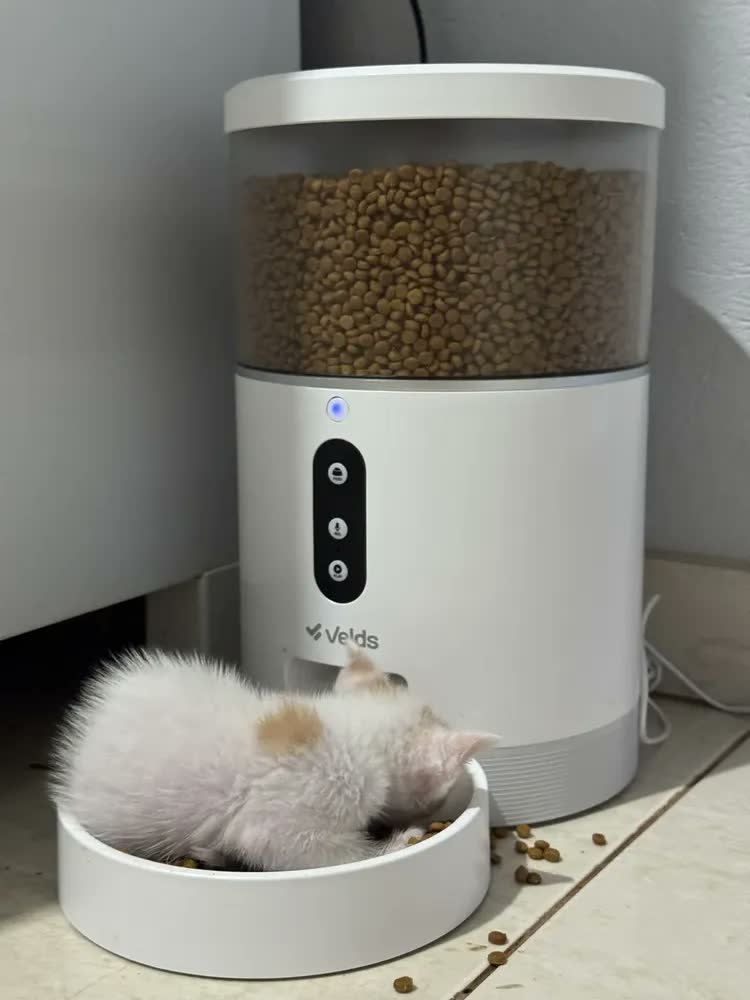 foto de Comedouro Automático Ração Gatos E Cães Velds com App e Programação, Alimentador Smart 4L Branco