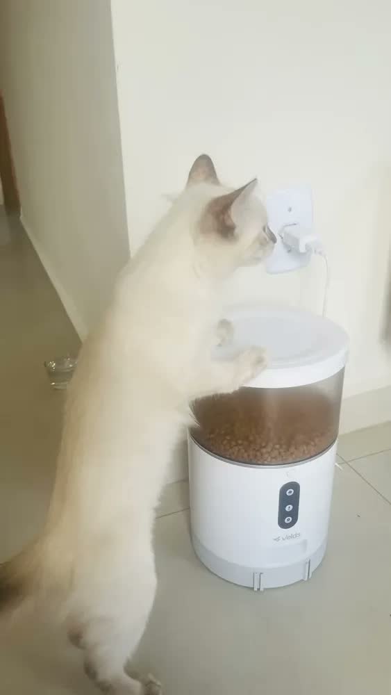 foto de Comedouro Automático Ração Gatos E Cães Velds com App e Programação, Alimentador Smart 4L Branco