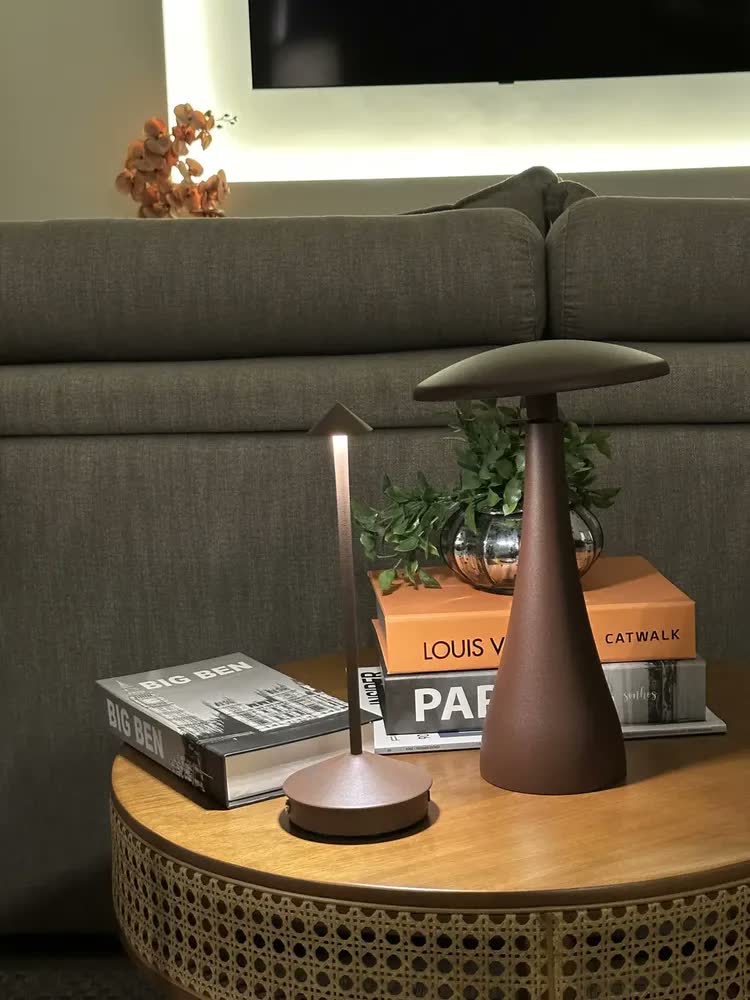 Luminária De Mesa Dapon Dp062 Portátil 3 Níveis De Luz Cor Marrom