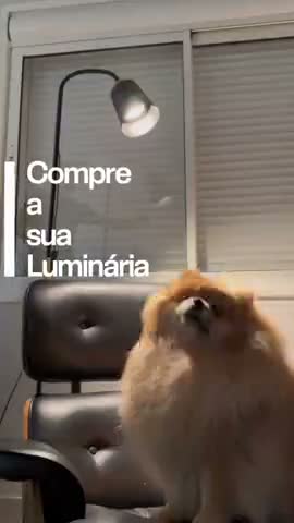 vídeo do produto