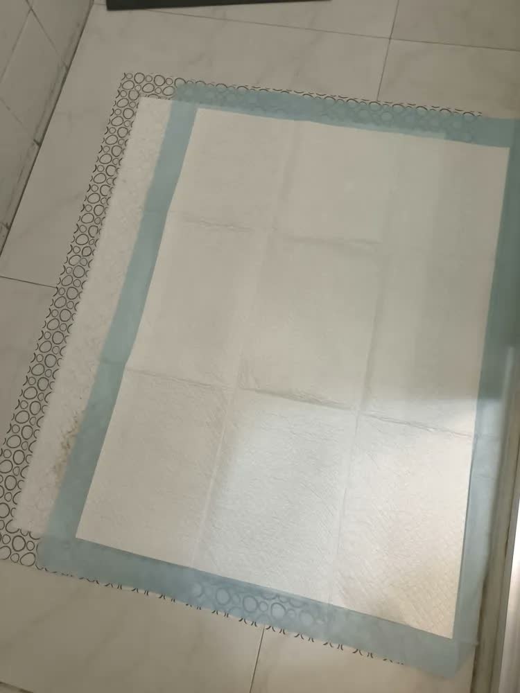 foto de Tapete Sanitário Higienico Absorvente Descartavel Slim Pet Cães Cachorro 80x60 50 Unidades