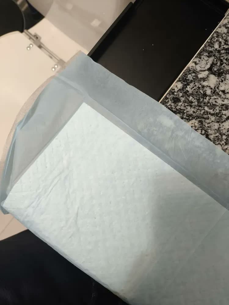 foto de Tapete Sanitário Higienico Absorvente Descartavel Slim Pet Cães Cachorro 80x60 50 Unidades