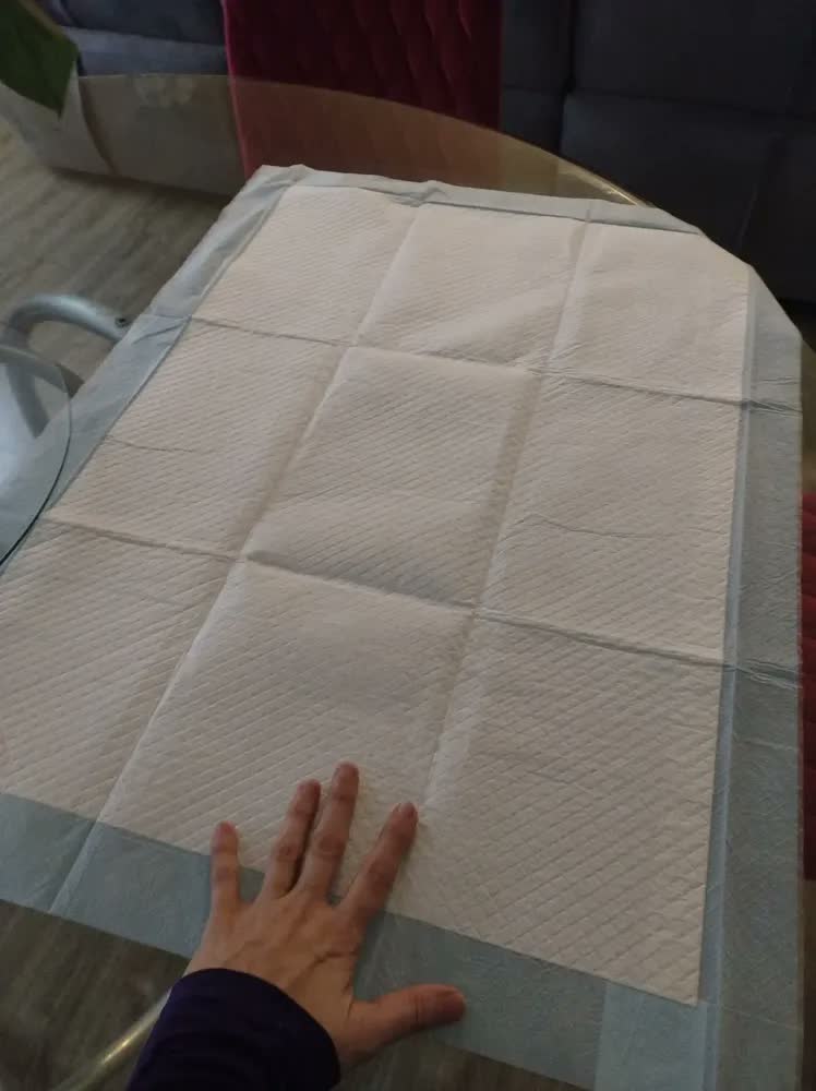 foto de Tapete Sanitário Higienico Absorvente Descartavel Slim Pet Cães Cachorro 80x60 50 Unidades