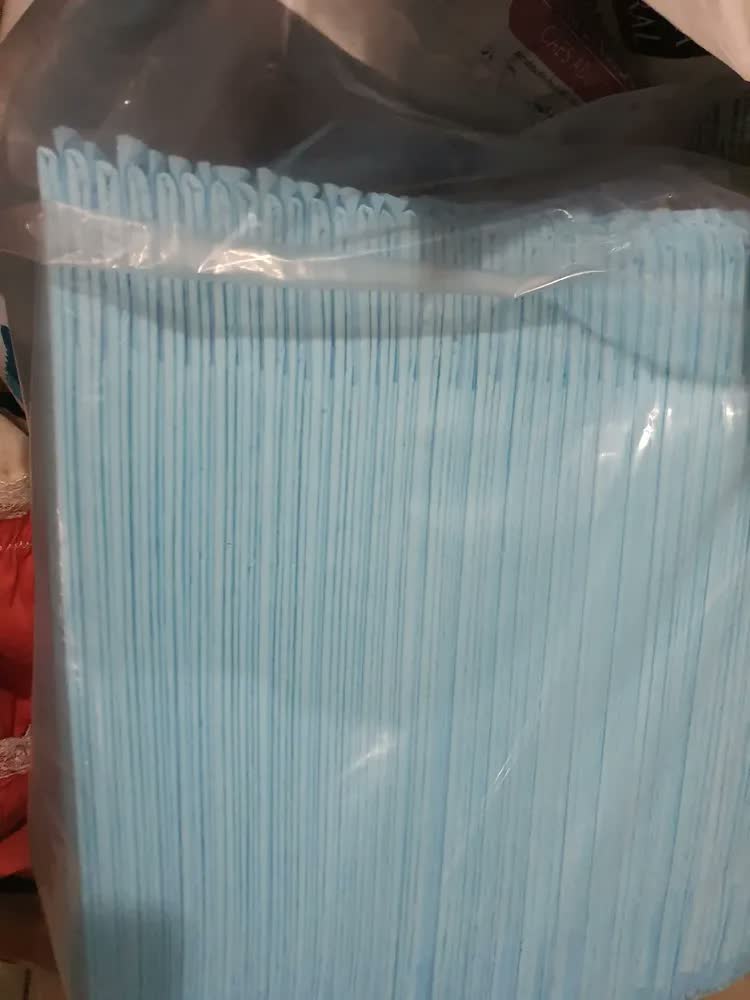 foto de Tapete Sanitário Higienico Absorvente Descartavel Slim Pet Cães Cachorro 80x60 50 Unidades