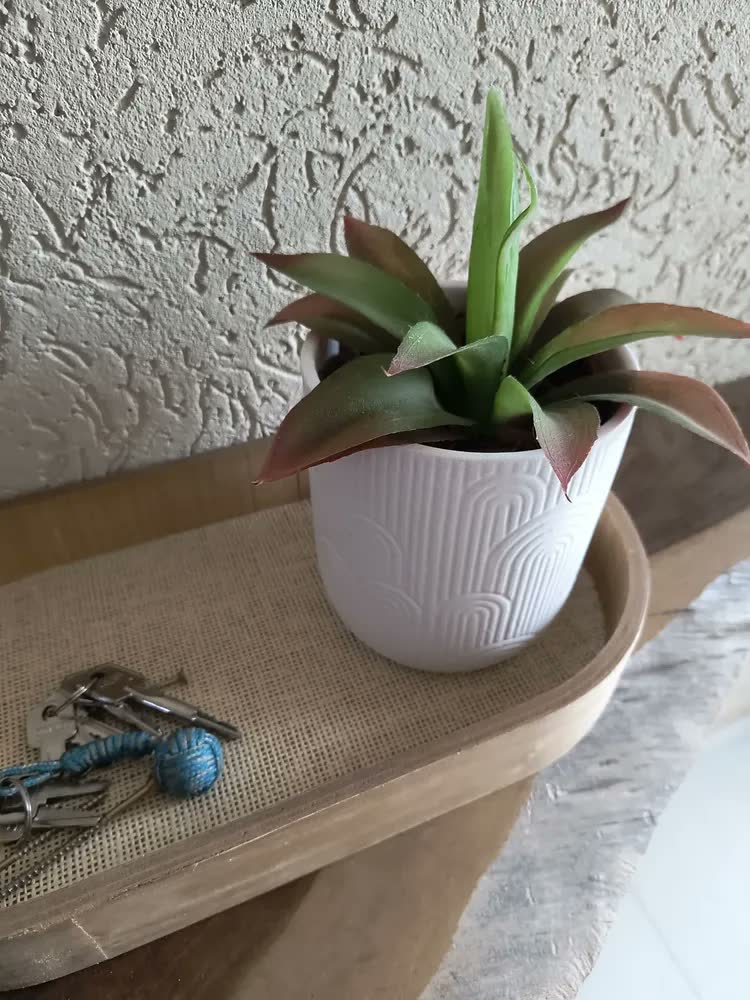 foto de Vaso Decorativo Cerâmica Para Planta Redondo 14cm