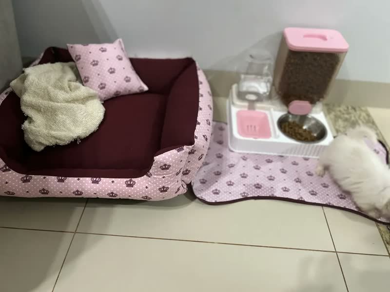 foto de Bebedouro E Comedouro Alimentador Automático Gravidade Pet Cor Rosa